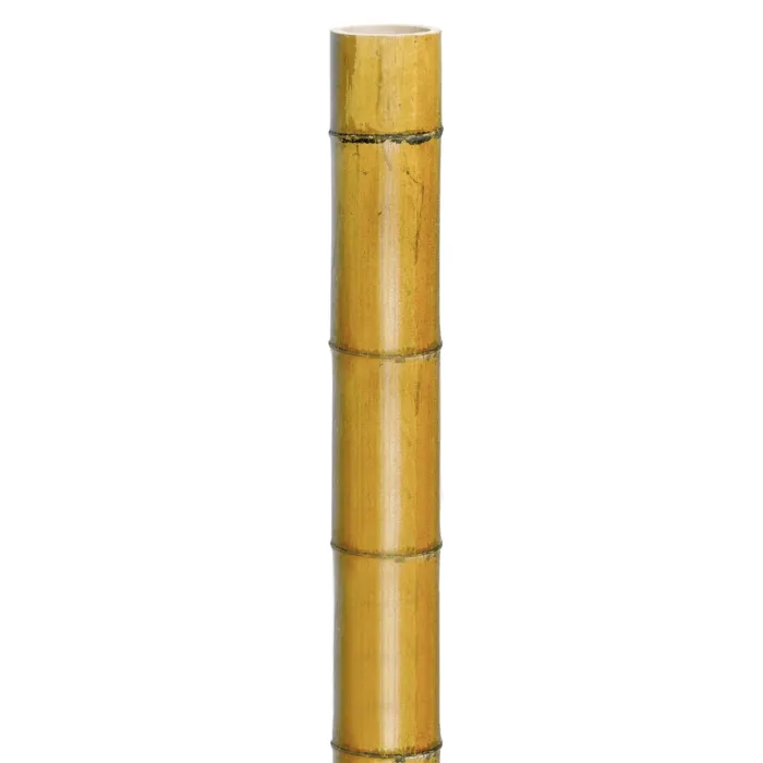 biezen-3710583