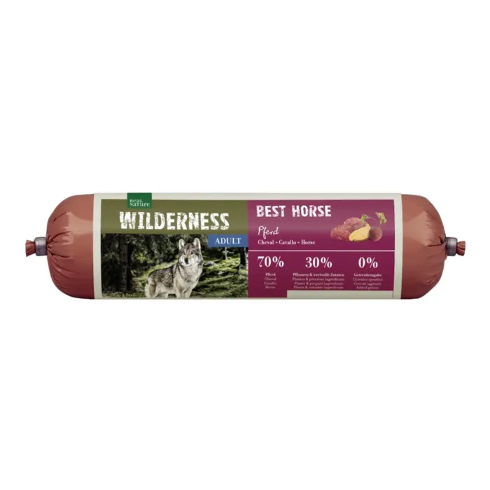 biezen-3710652