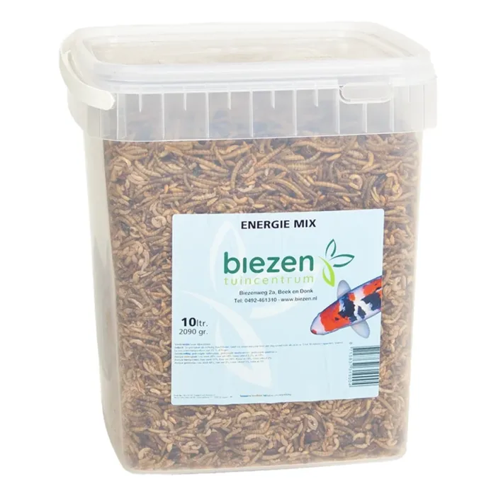 biezen-3713135