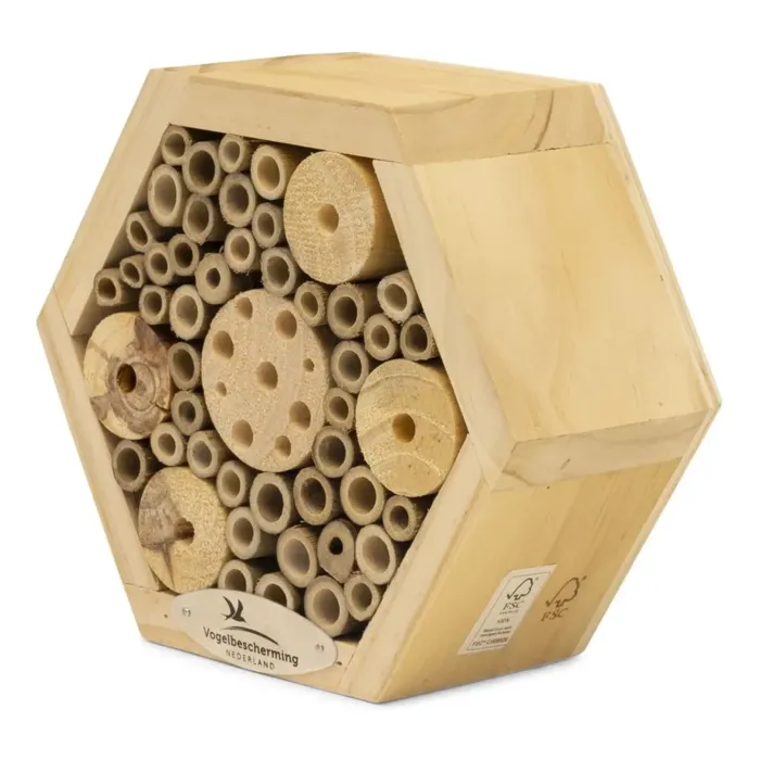biezen-3713973