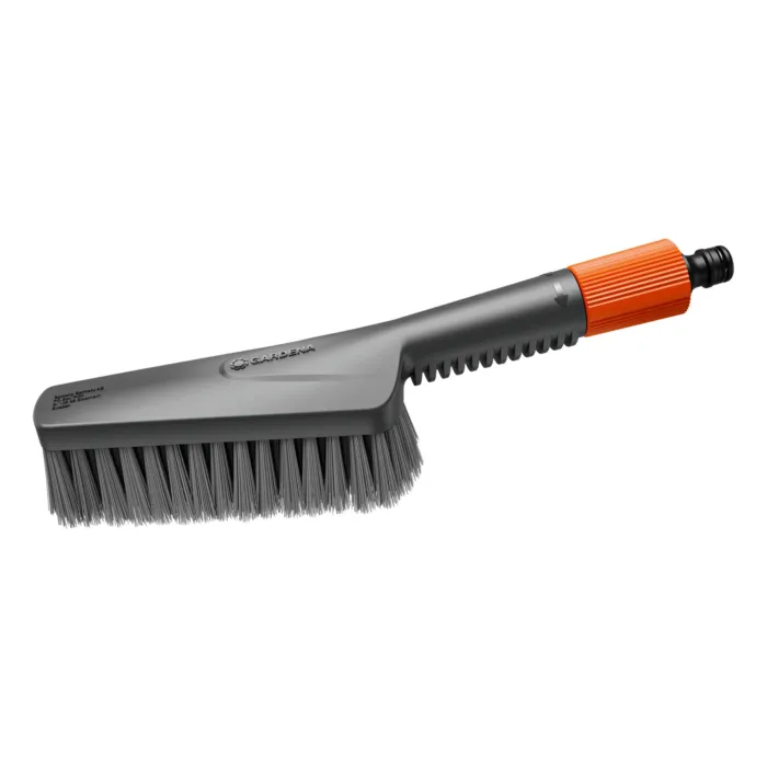 biezen-3715044