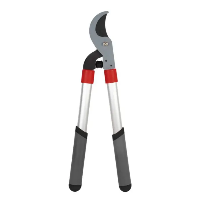 biezen-3715077