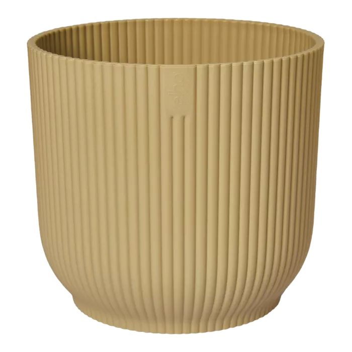 biezen-3716393