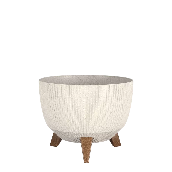 biezen-3725053
