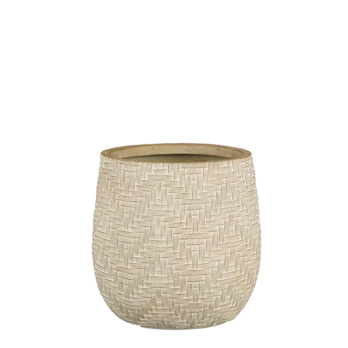 biezen-3725213
