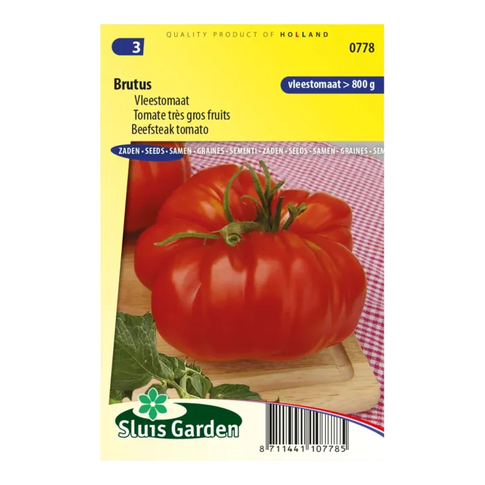 biezen-3725480