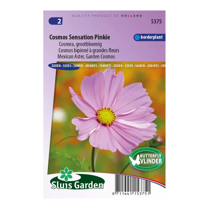 biezen-3725515
