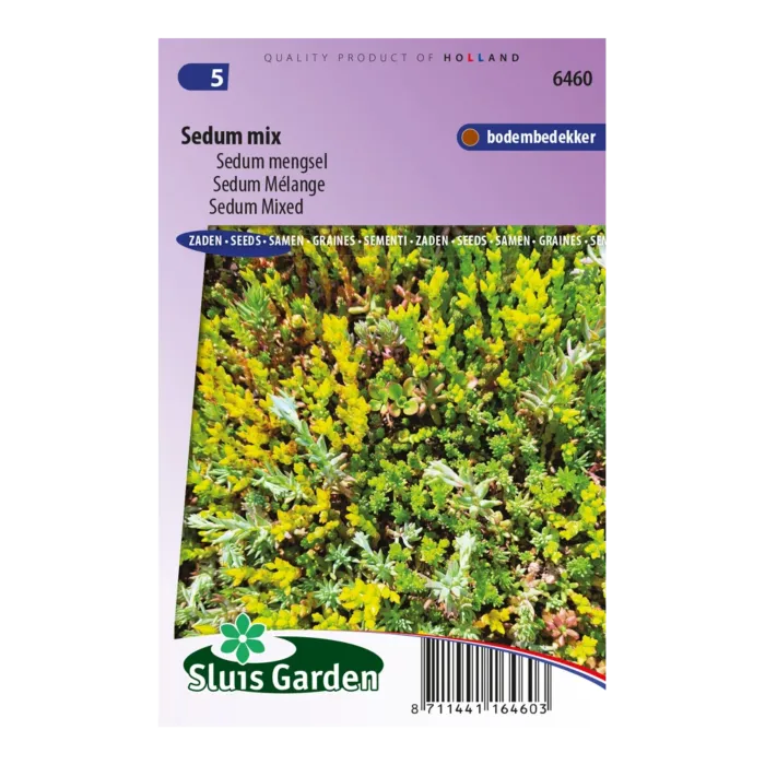 biezen-3725535