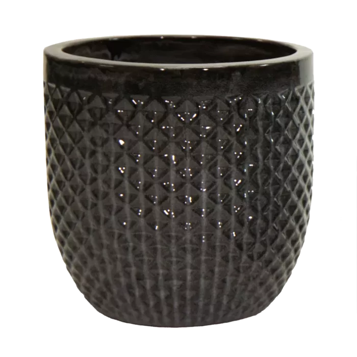 biezen-3725898