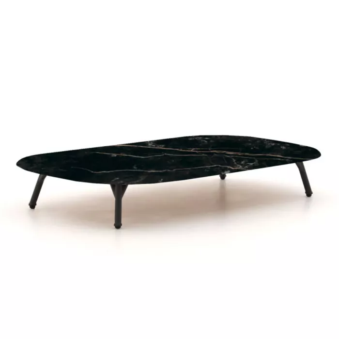biezen-3727846