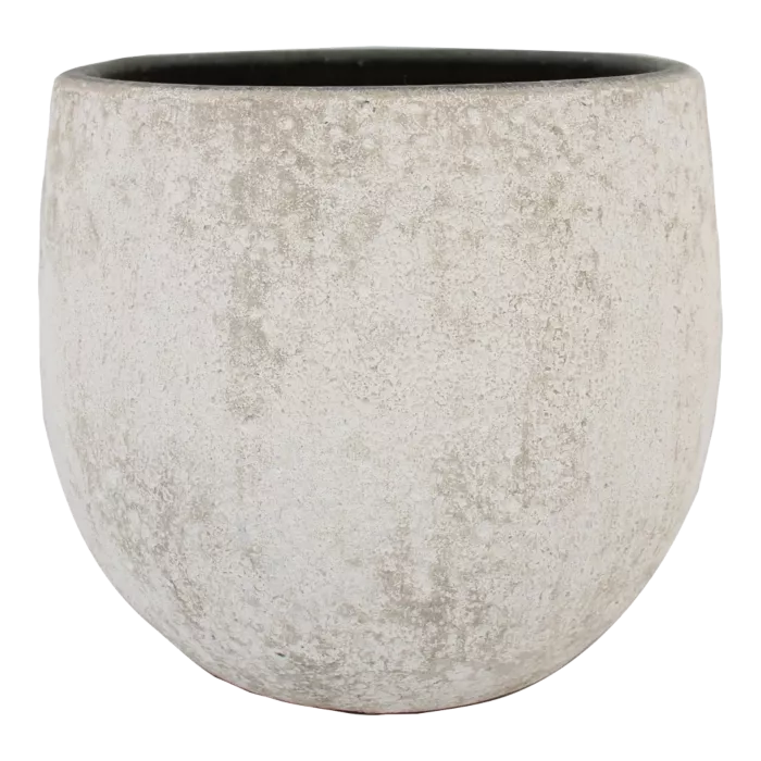 biezen-3728272