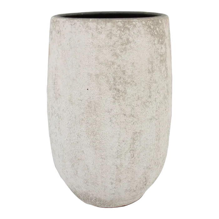 biezen-3728302