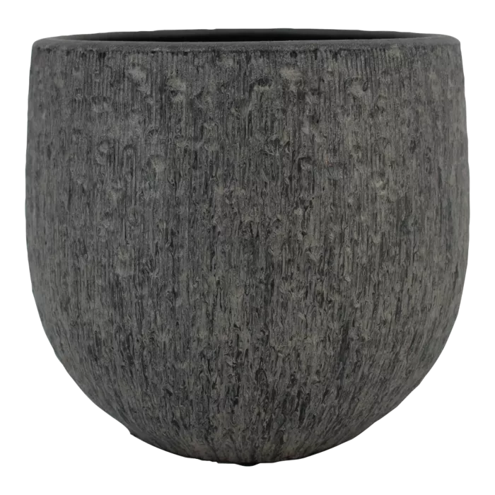 biezen-3728340