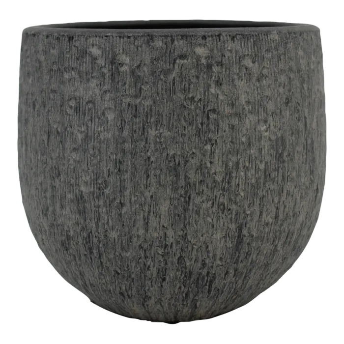 biezen-3728397