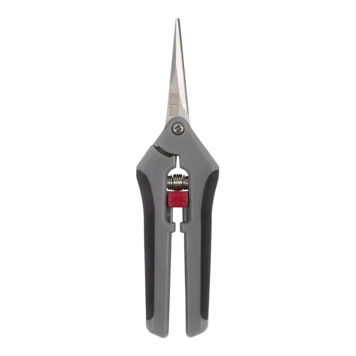 biezen-3728501