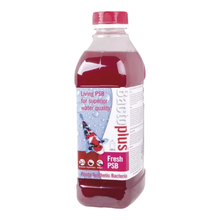 biezen-3732135