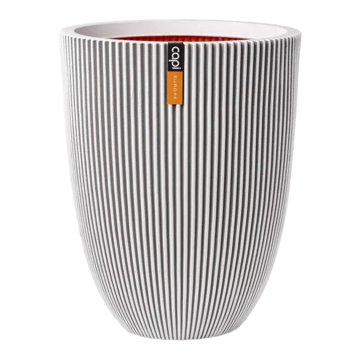 biezen-3733880