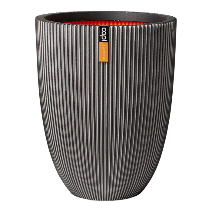 biezen-3733931