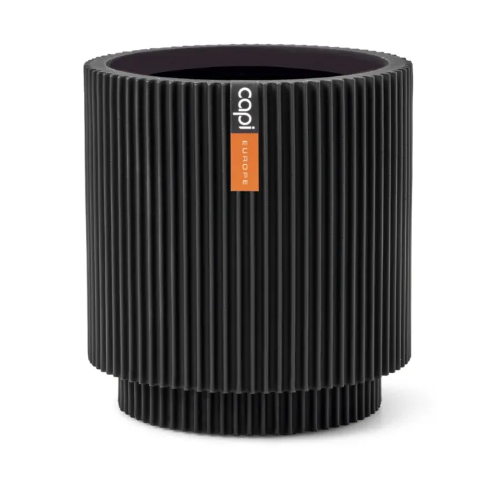 biezen-3734189