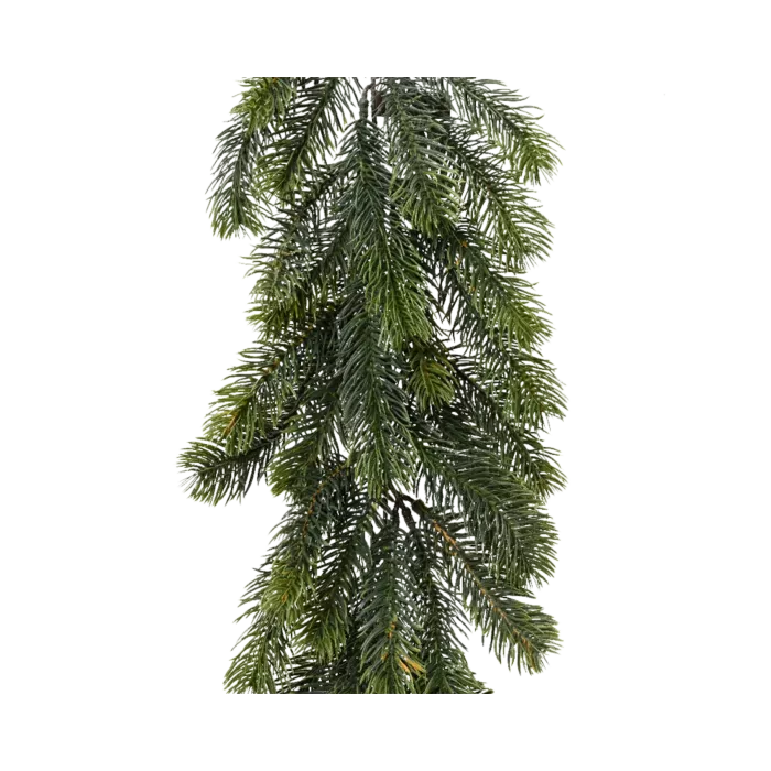 biezen-3737125