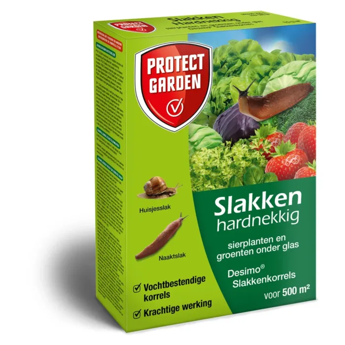 biezen-3744599