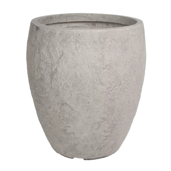 biezen-3746238