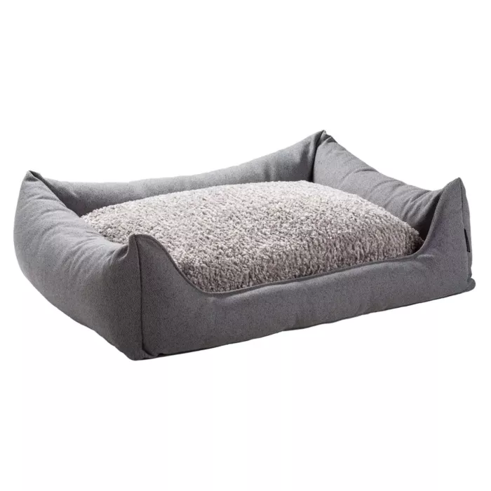 biezen-3746268
