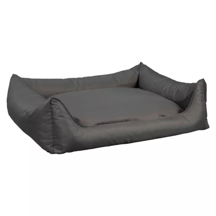 biezen-3746361