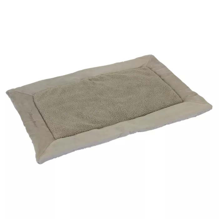 biezen-3746633
