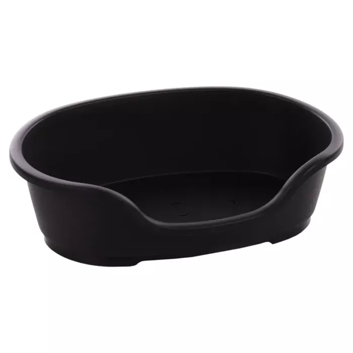 biezen-3746829