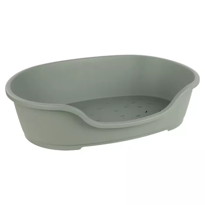 biezen-3746878