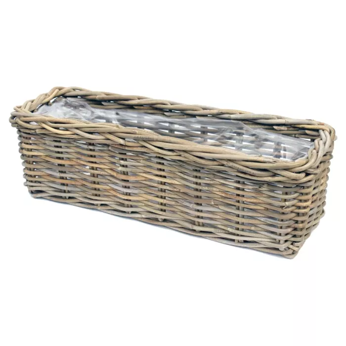 biezen-3747098