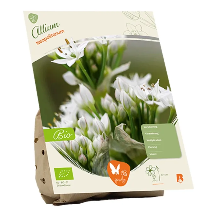 biezen-3751646