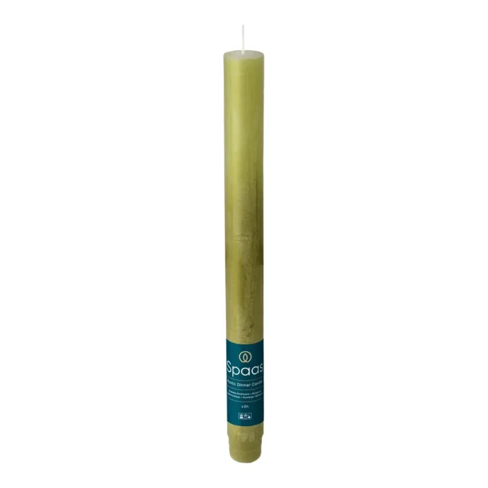 biezen-3754507