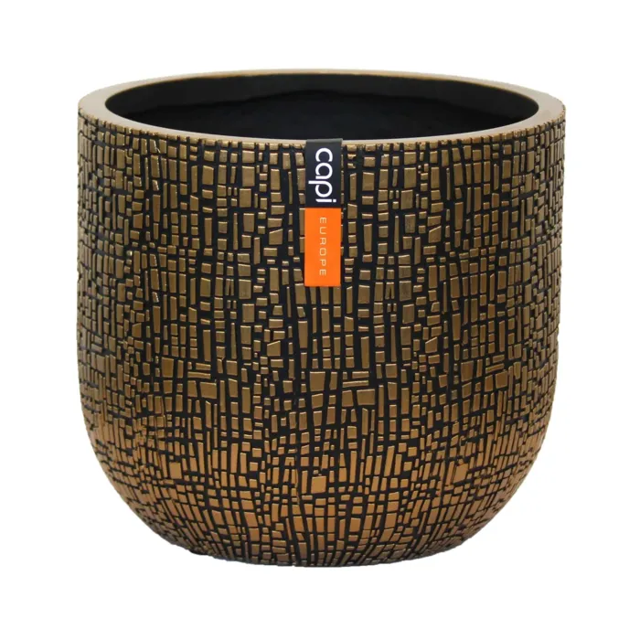 biezen-3755388