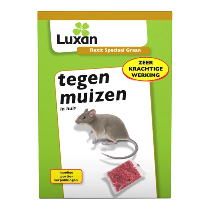 biezen-3769286