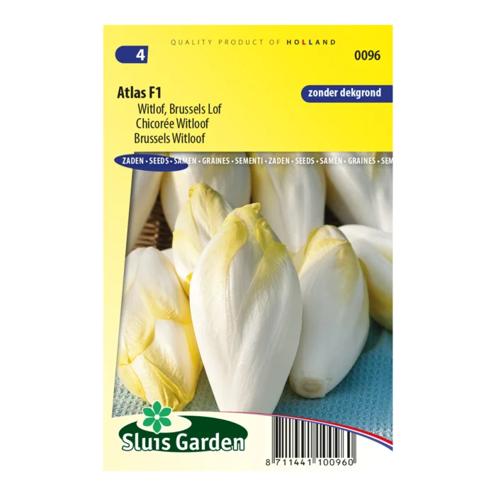 biezen-3769777