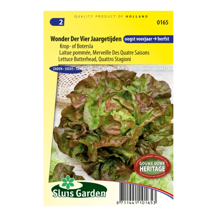 biezen-3769877