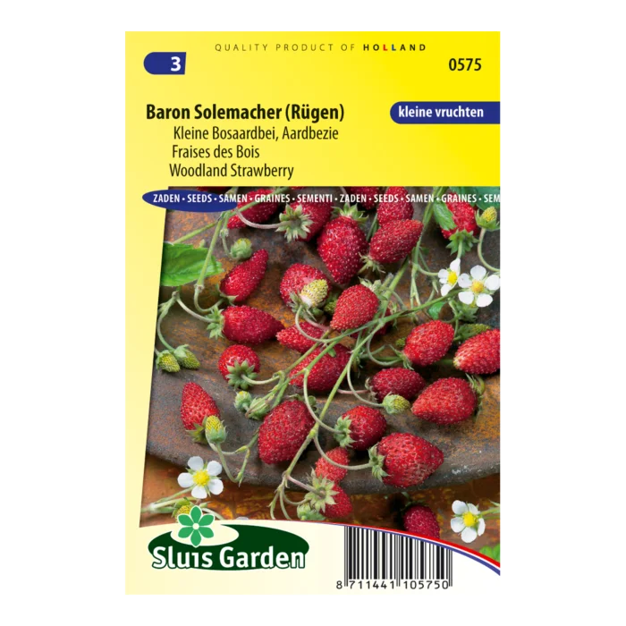 biezen-3770346