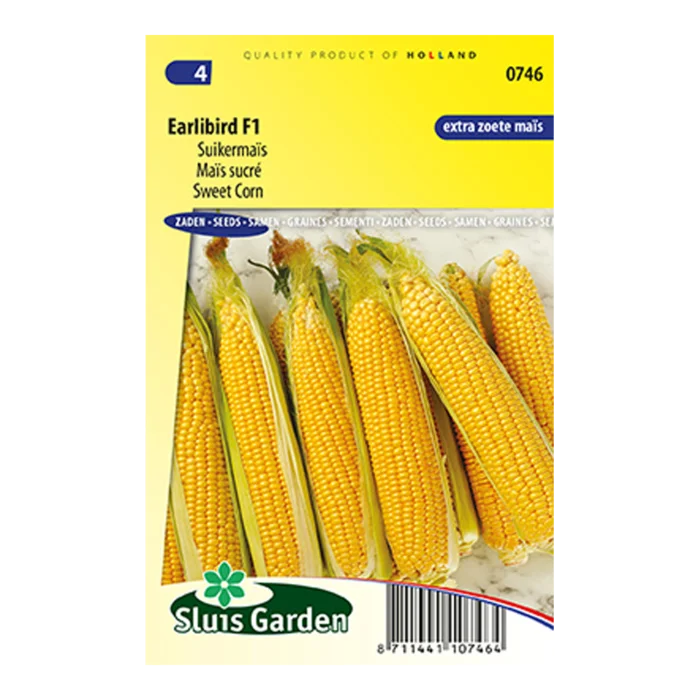 biezen-3770564