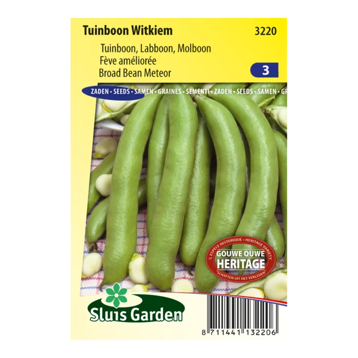 biezen-3771079