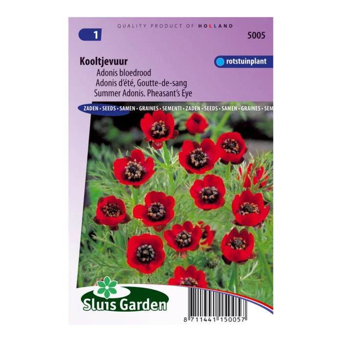 biezen-3771158