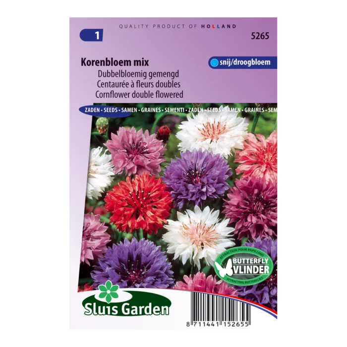 biezen-3771424