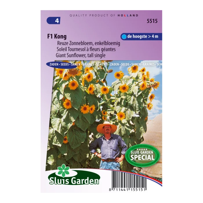 biezen-3771599
