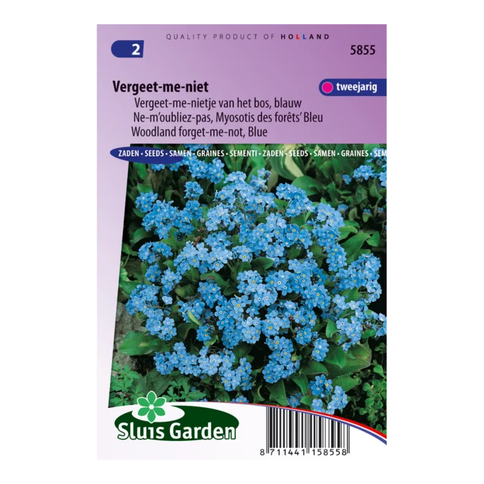 biezen-3771839