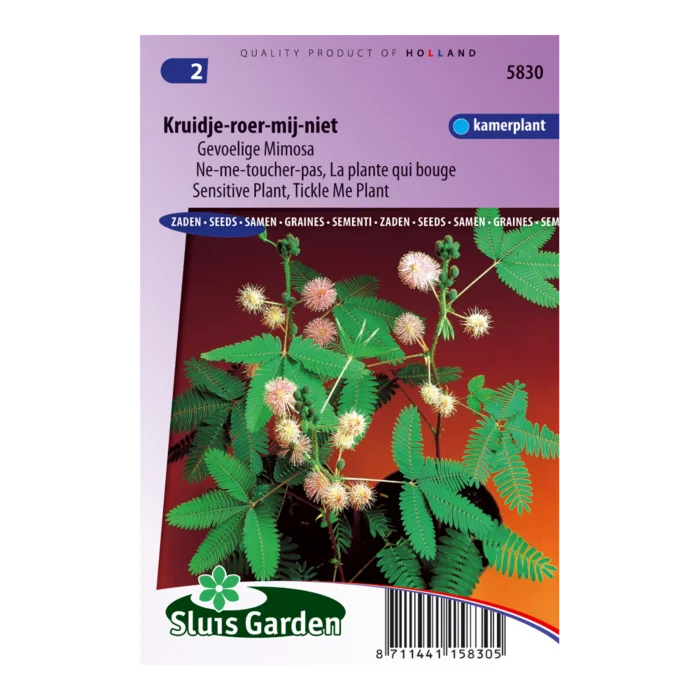 biezen-3771844