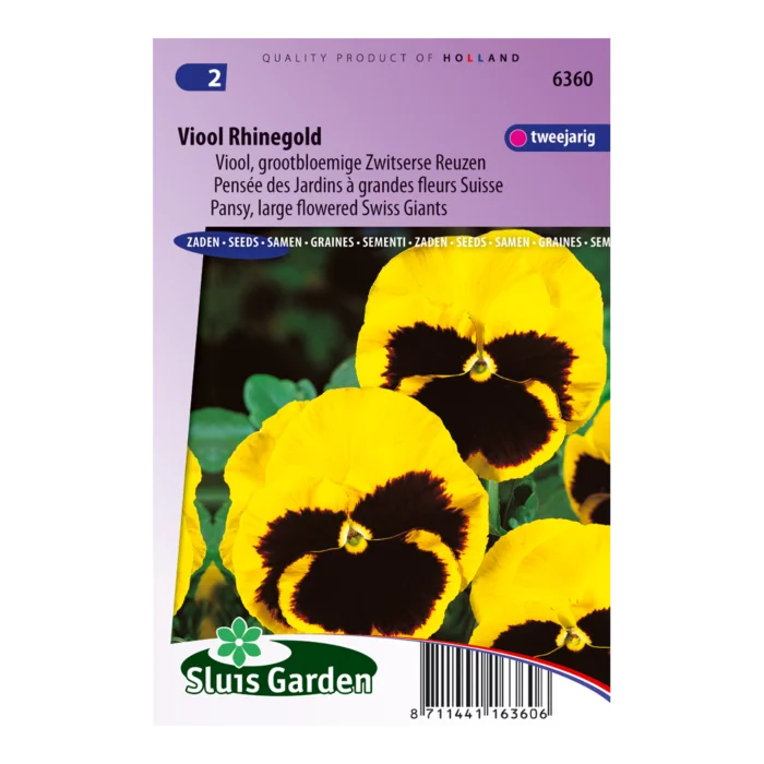 biezen-3772158