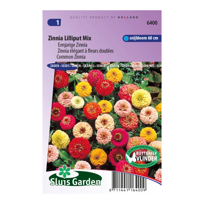 biezen-3772169