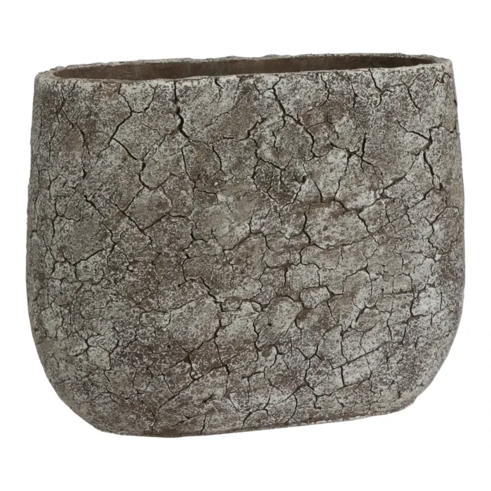 biezen-3774240
