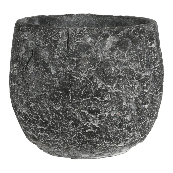 biezen-3774248